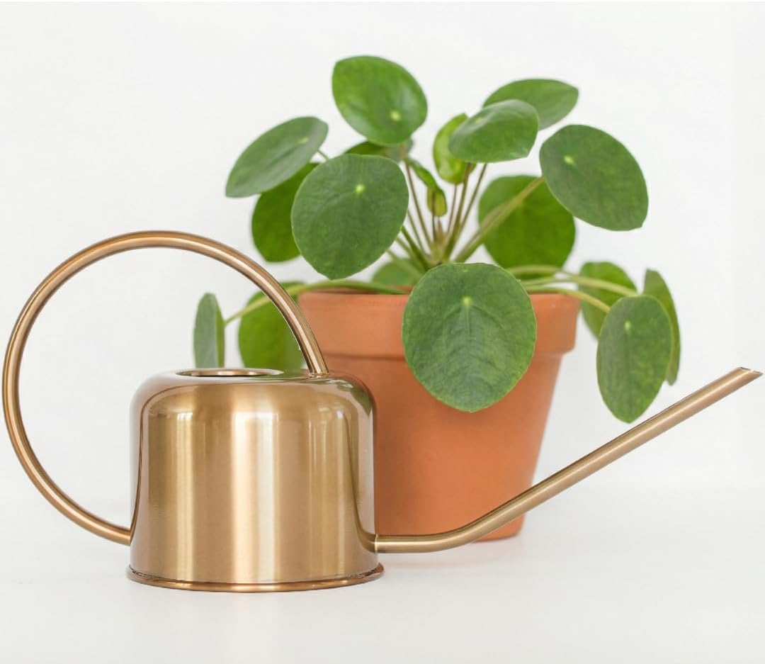 51c3k-r8LL._AC_SL1080_.jpg Vintage-style large-capacity galvanized long-spout watering can - Image 1