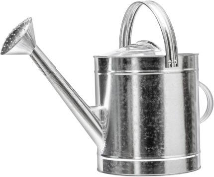 Black stainless steel long-spout watering can for precision watering of succulents