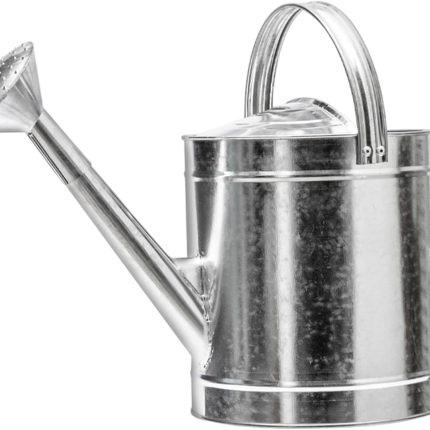 Black stainless steel long-spout watering can for precision watering of succulents