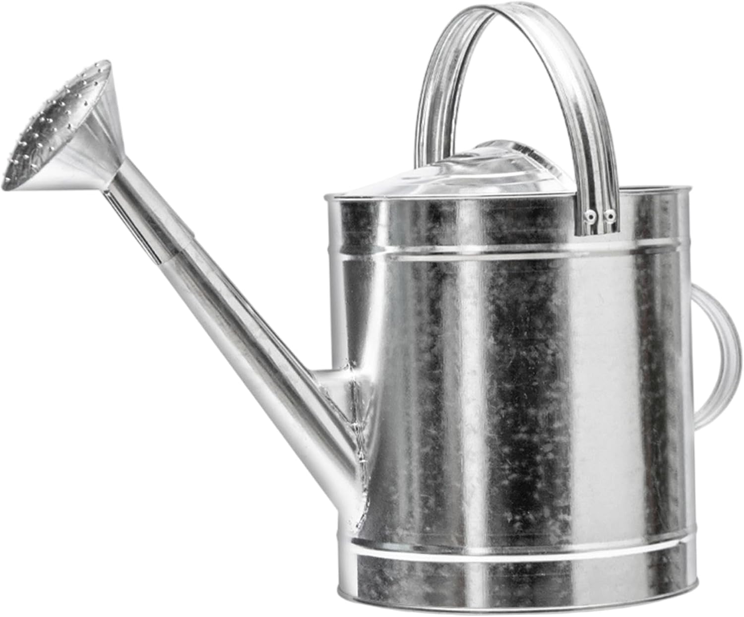 6139mZnM8gL._AC_SL1500_.jpg Black stainless steel long-spout watering can for precision watering of succulents - Image 1