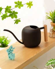 Black mini long-spout watering can for small succulents (decorative style)