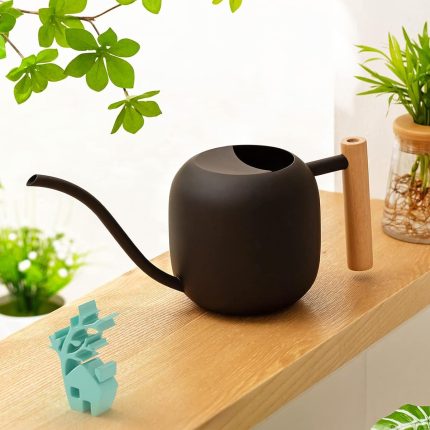 Black mini long-spout watering can for small succulents (decorative style)