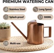 Small-Capacity Stainless Steel Long-Spout Watering Can (Powder-Coated) - Image 2